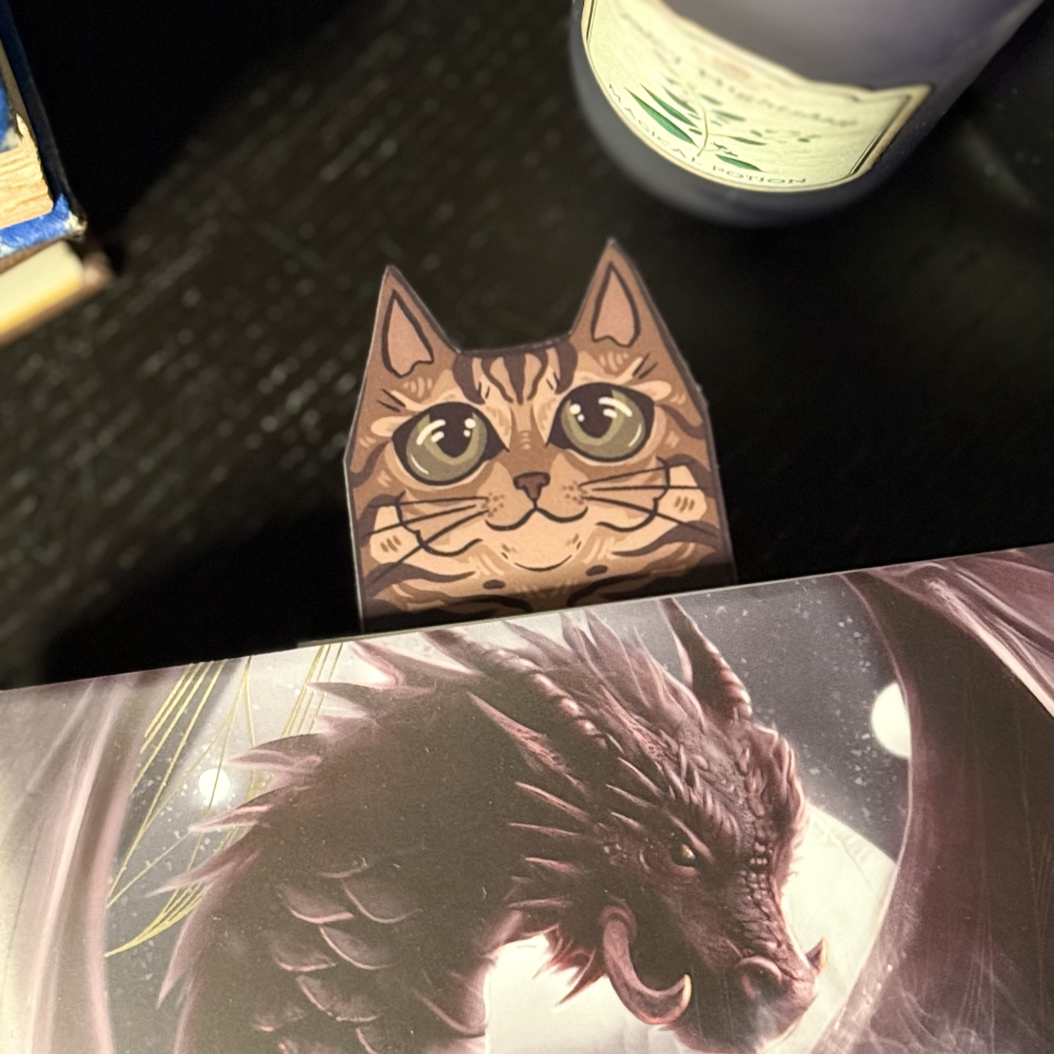 Full Tabby Cat Bookmark by Tied Fates