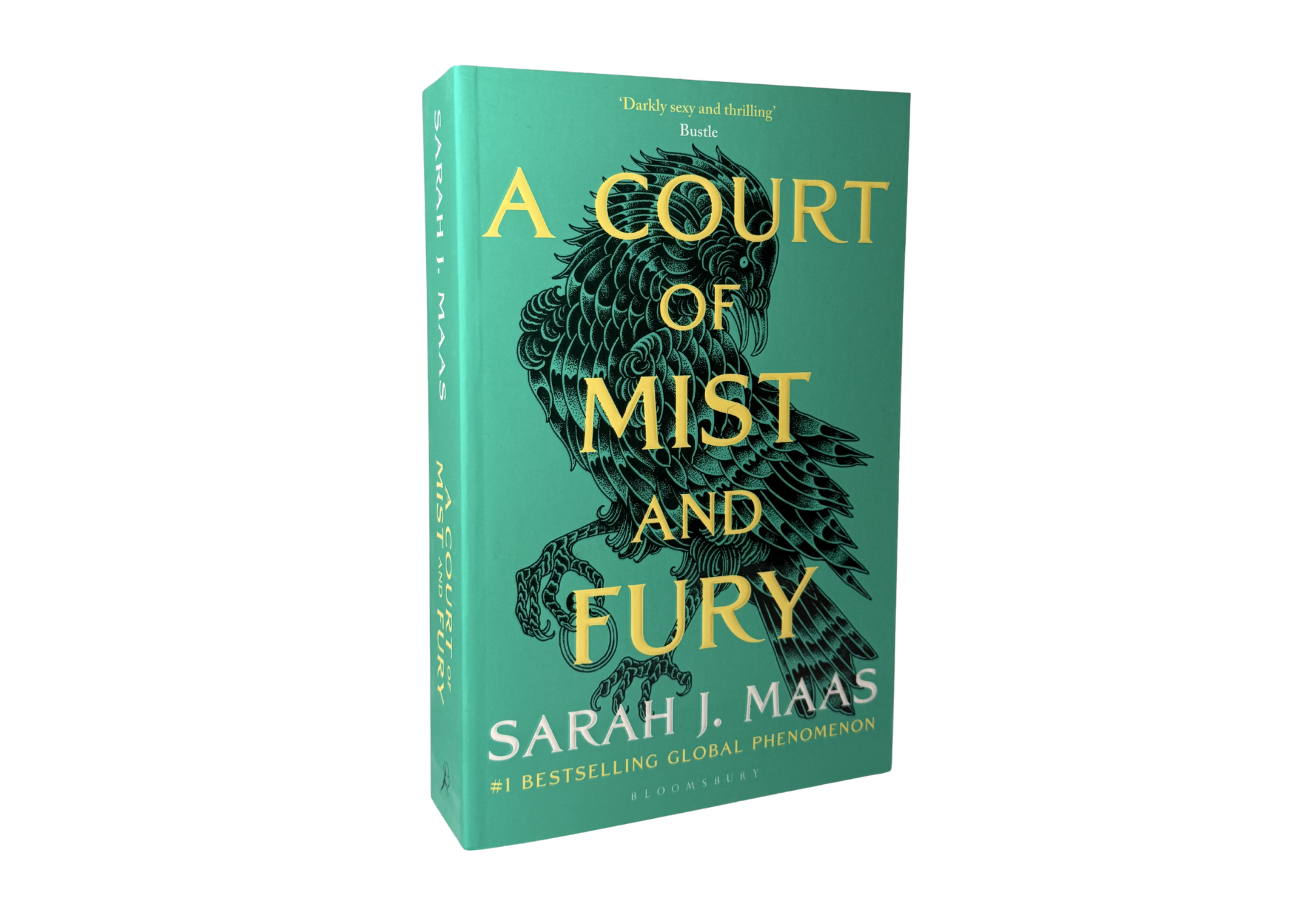 A Court of Mist and Fury by Sarah J. Maas (Book 2)