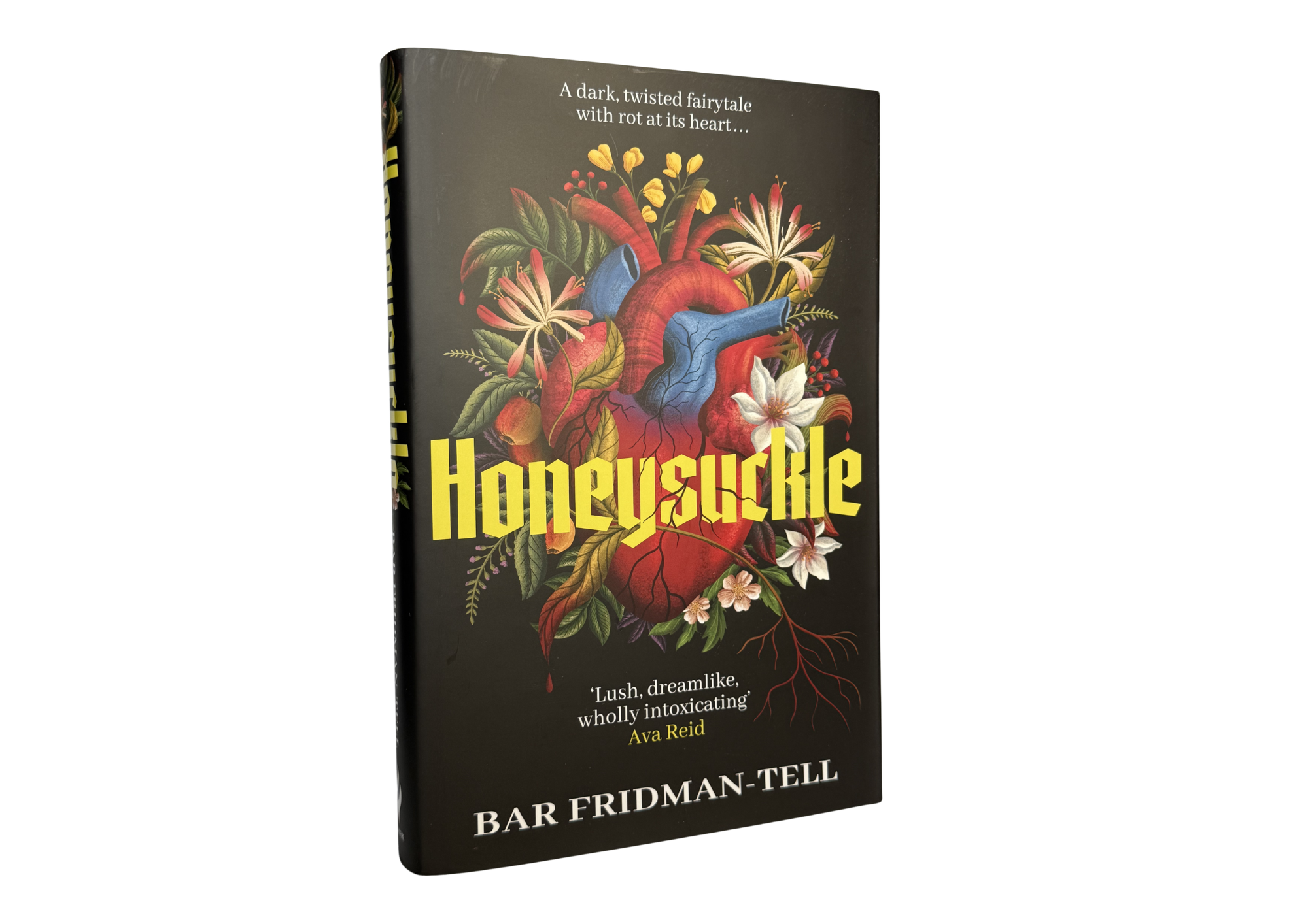 Honeysuckle by Bar Fridman-Tell
