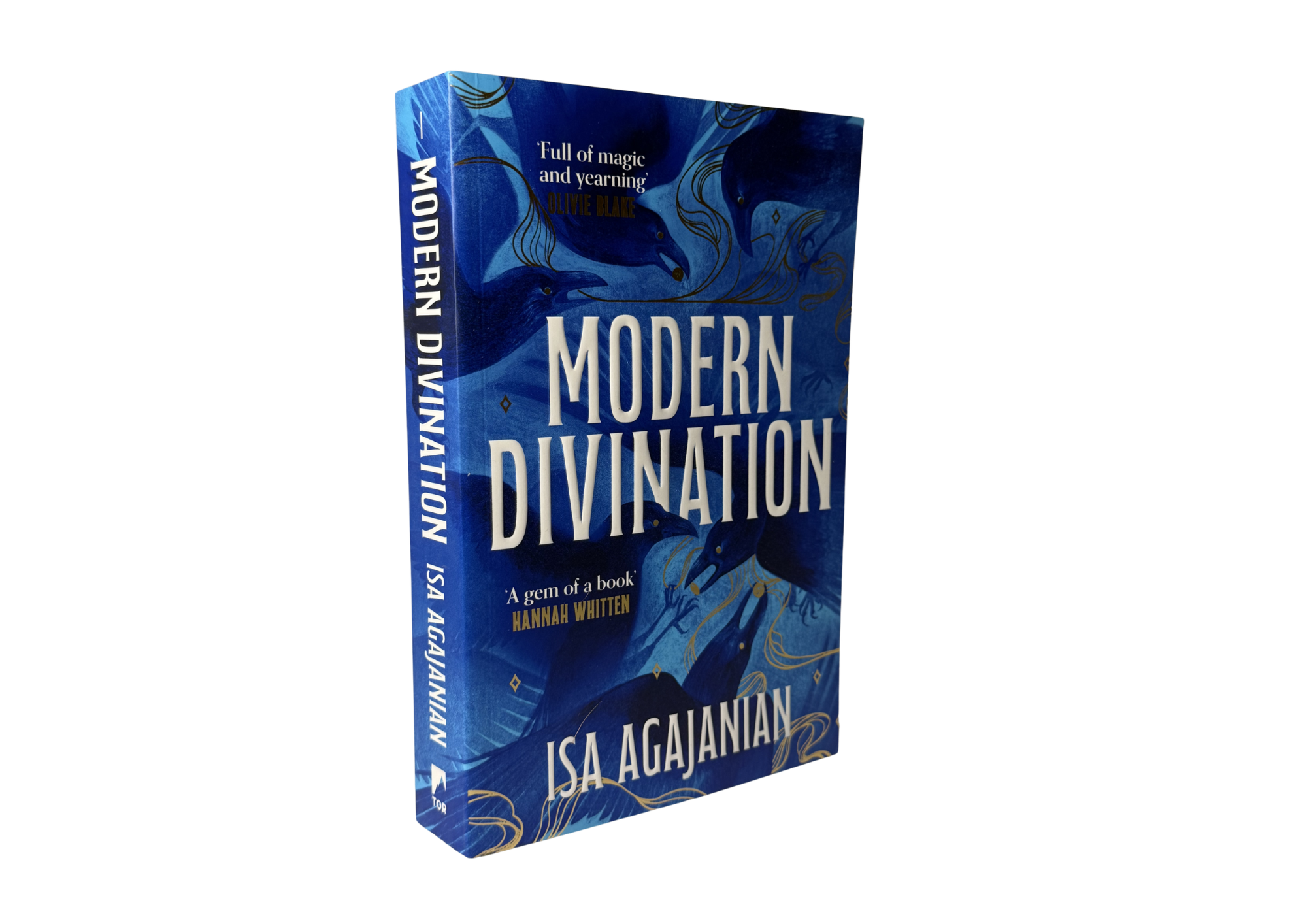 Modern Divination by Isa Agajanian