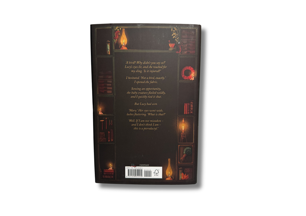 The Geomagician by Jennifer Mandula