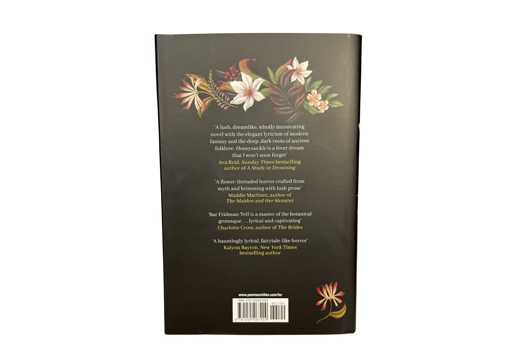 Honeysuckle by Bar Fridman-Tell