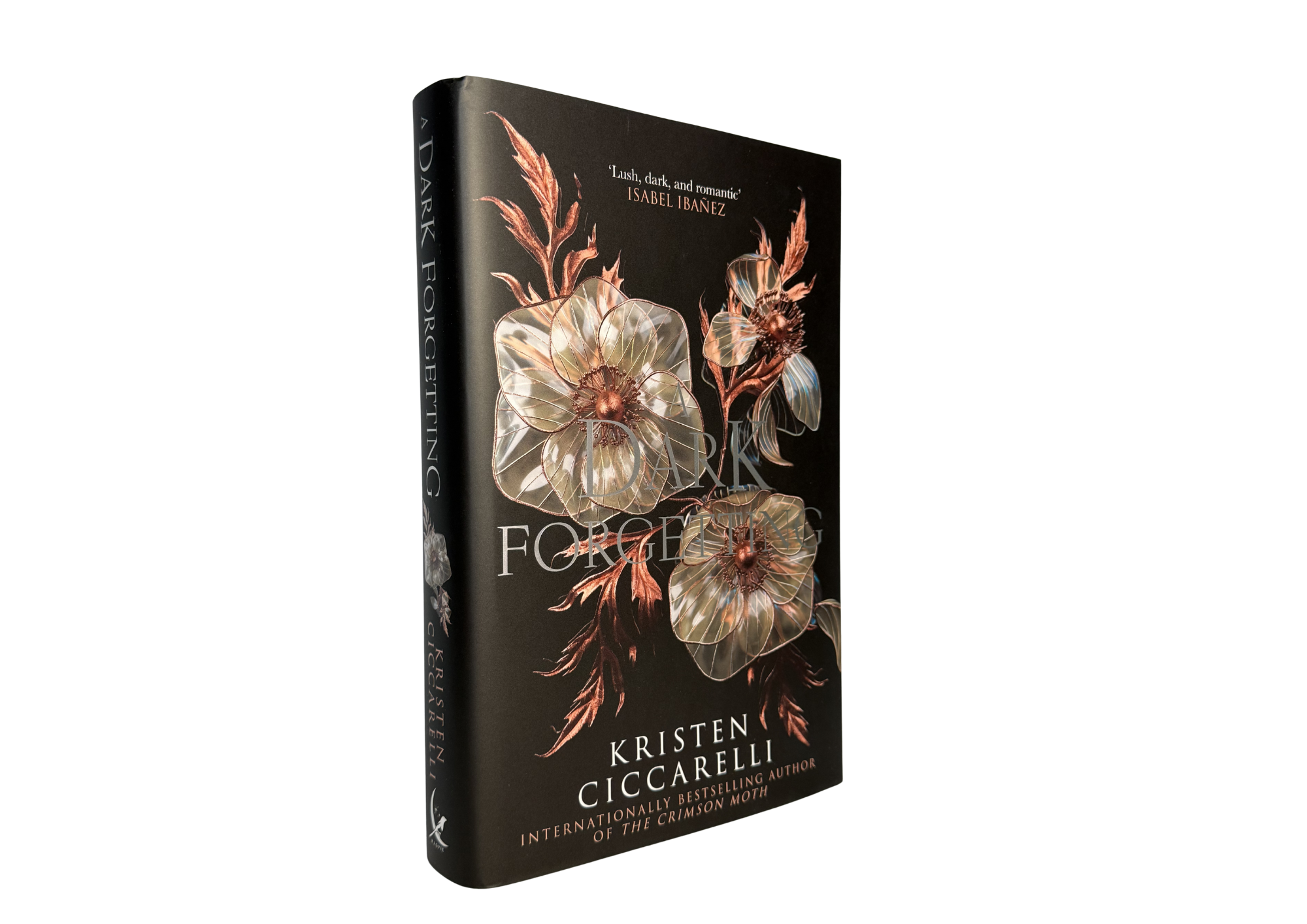 A Dark Forgetting by Kristen Ciccarelli