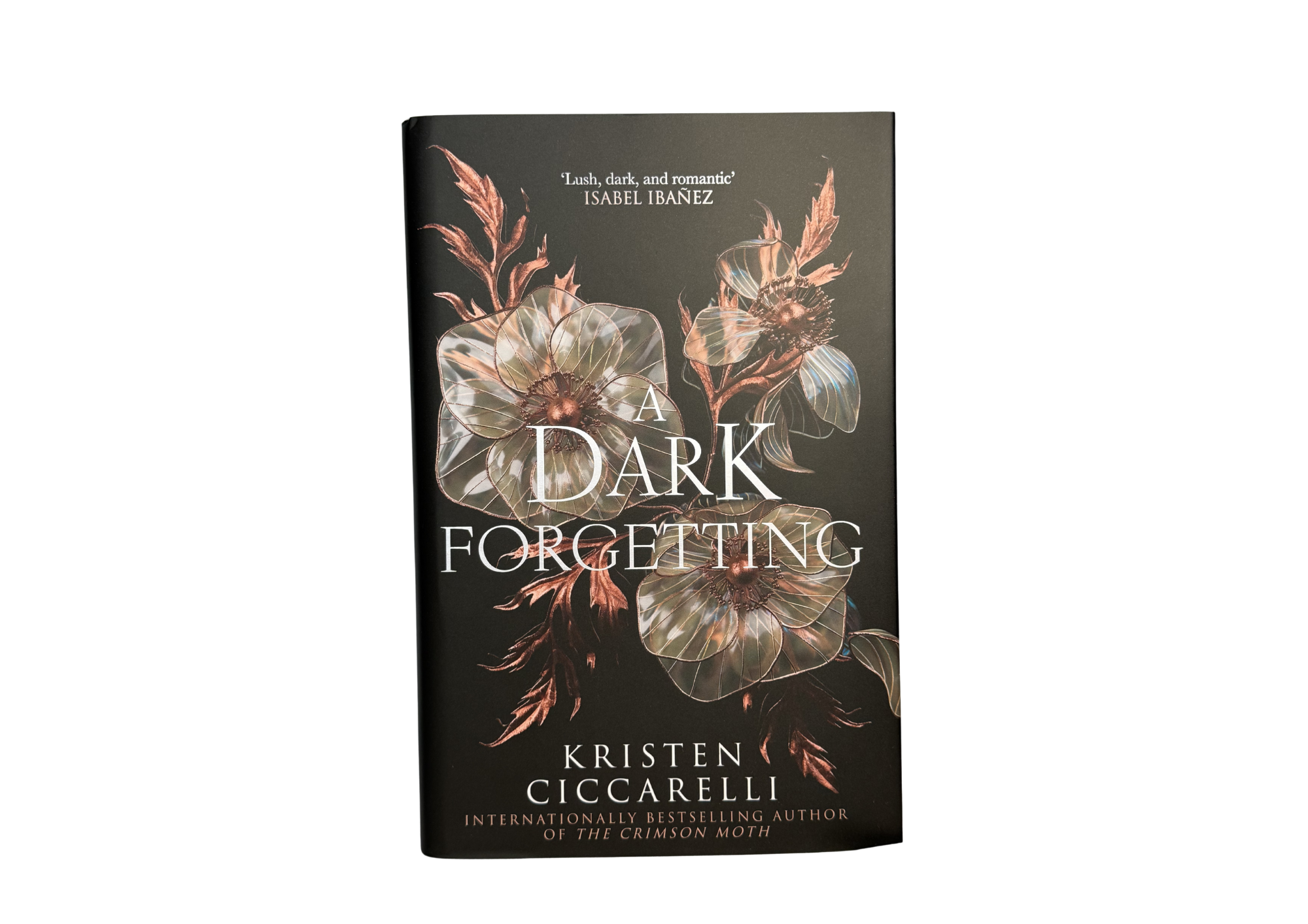 A Dark Forgetting by Kristen Ciccarelli