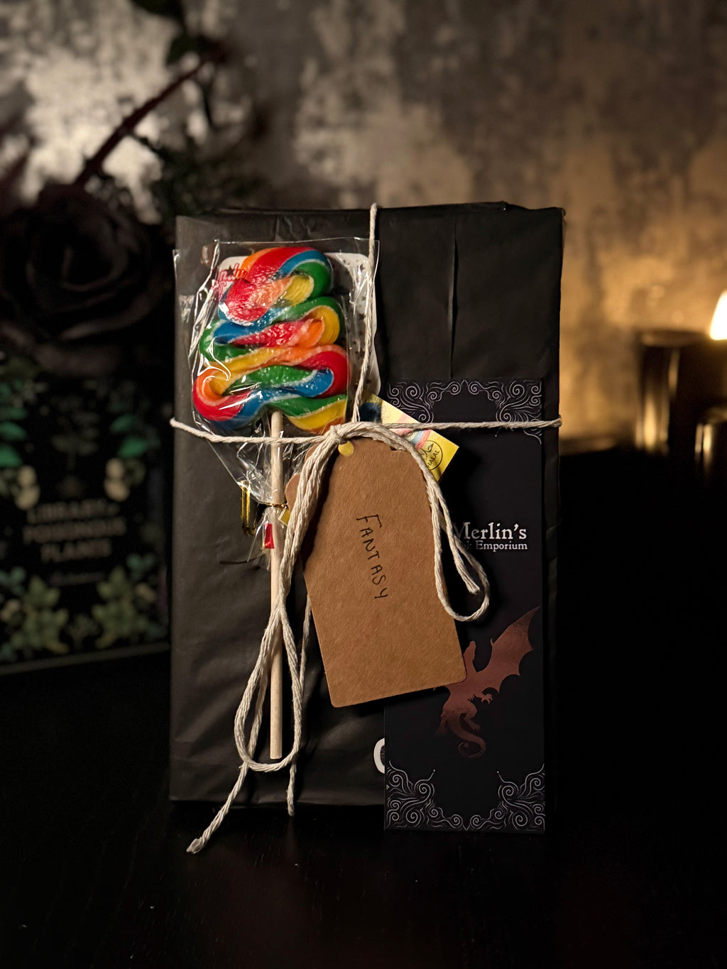 Merlin's Mystery Fantasy Book