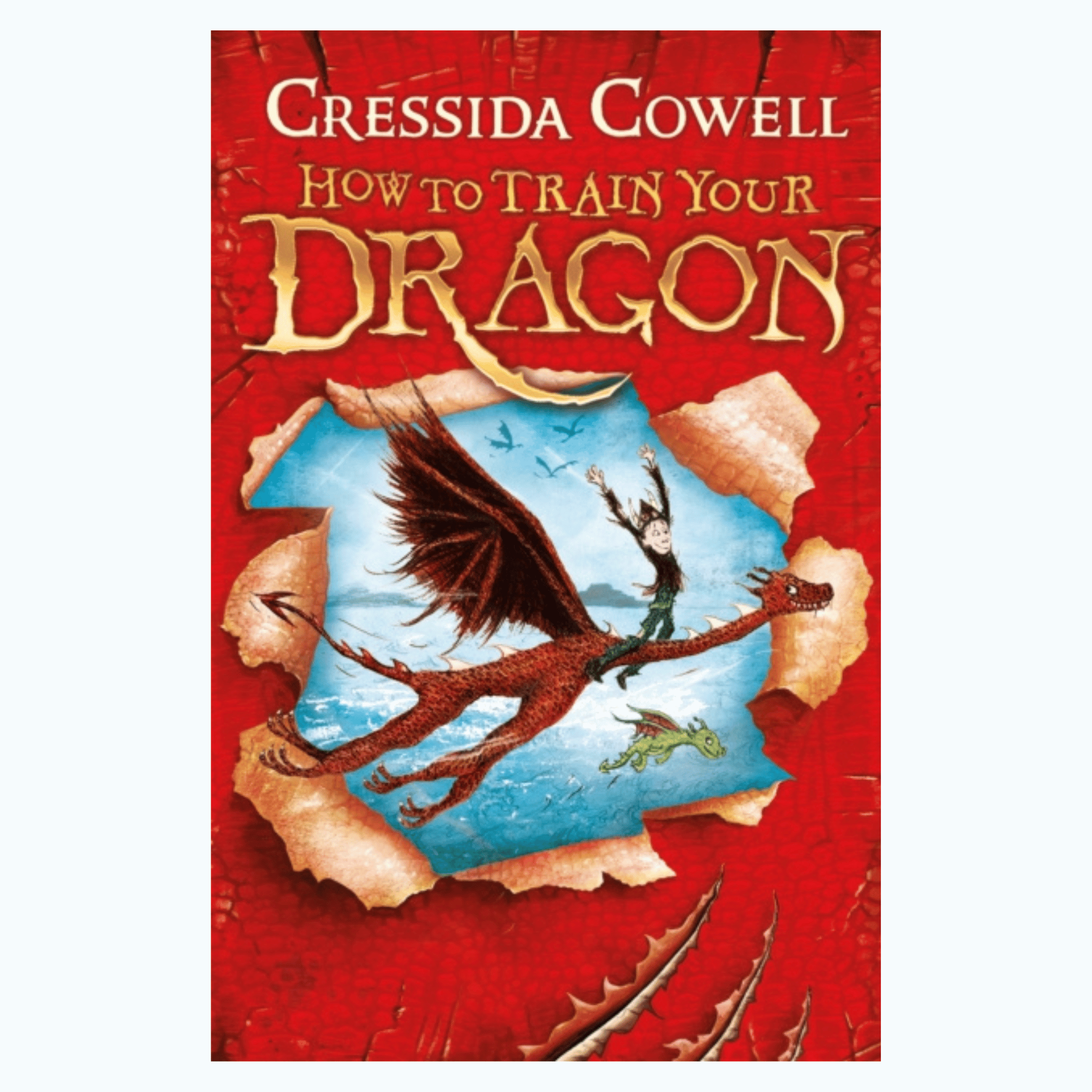 How to Train Your Dragon by Cressida Cowell (Book 1)